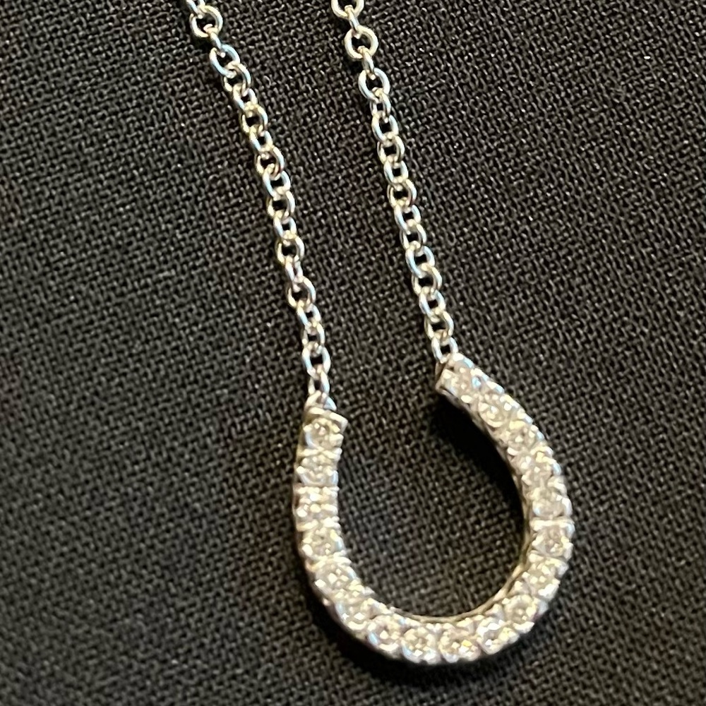 Diamond Horseshoe silver necklace